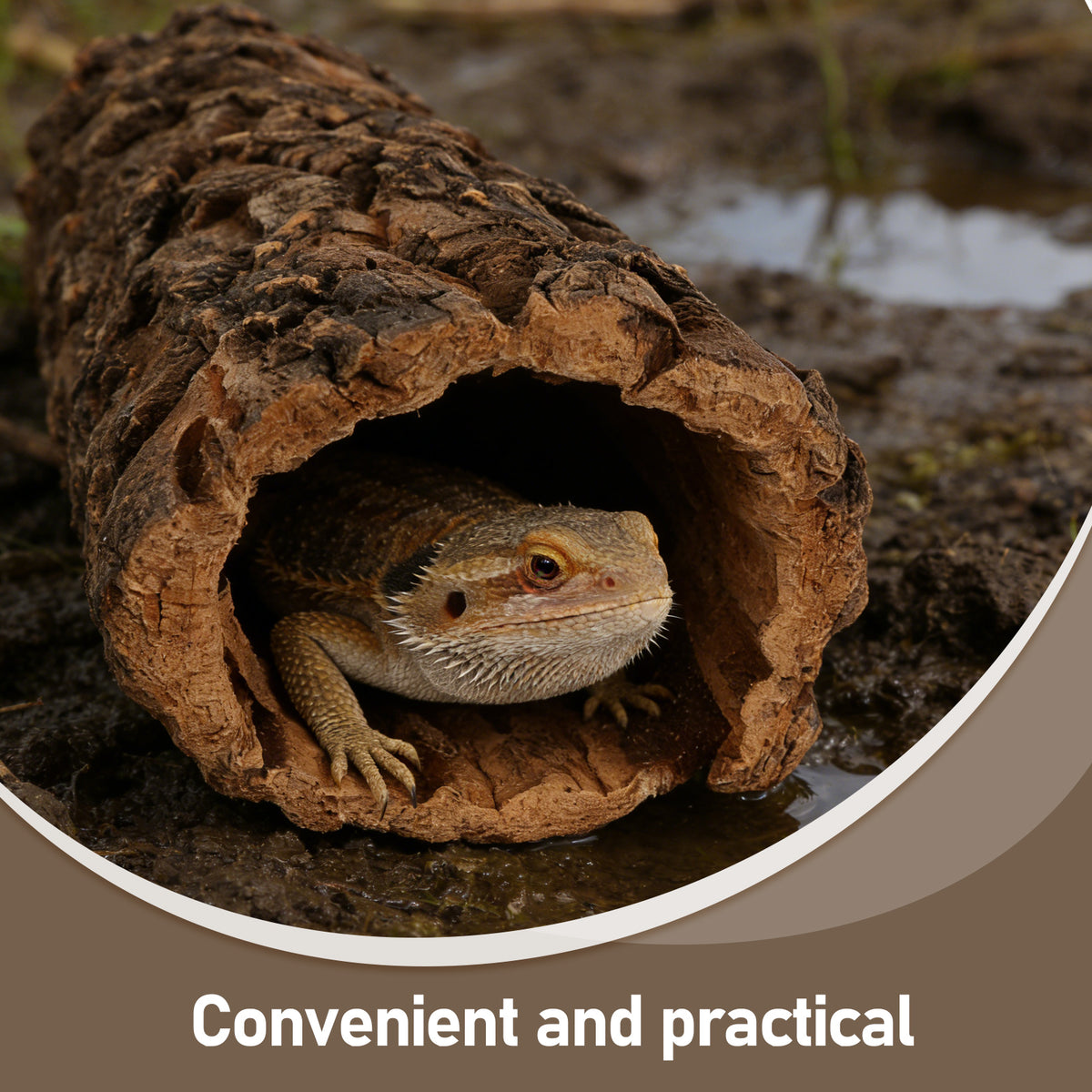 Hollow Tree Trunk Reptile Hideout, Gecko & Lizard Cave Tank Decor